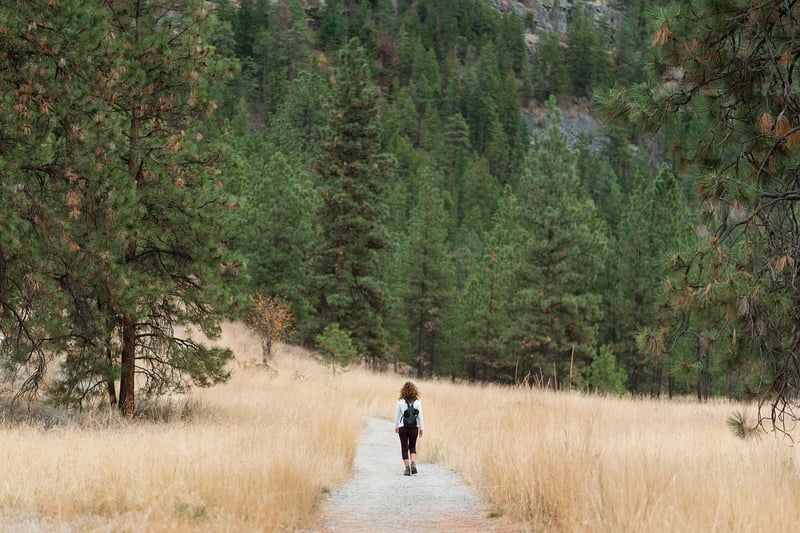 Hikers on a Trail